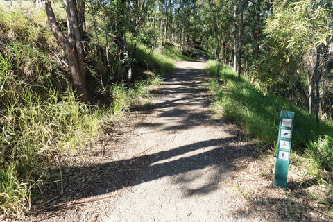 Mt Coot-tha Tourist Drive - Airlie Beach Holiday 2