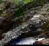 Potoroo Falls walk - Airlie Beach Holiday