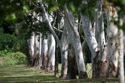 Teven Valley Golf Course - Airlie Beach Holiday 1