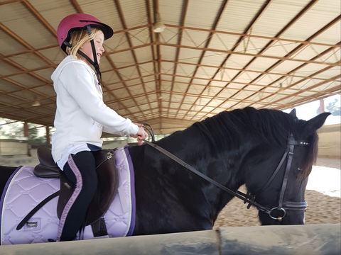 The Equine Club - Airlie Beach Holiday 1