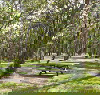 Wollomombi Gorge and Falls Picnic Area - Airlie Beach Holiday