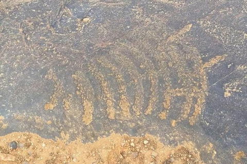 Aboriginal Rock Art - Airlie Beach Holiday 0