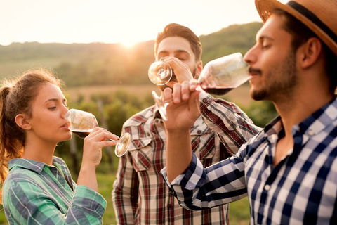 All-inclusive Morning Wine Tour In Orange - Airlie Beach Holiday 0