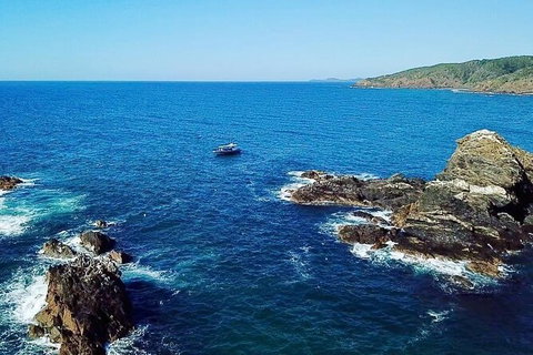 Julian Rocks Byron Bay Cruise - Airlie Beach Holiday 15