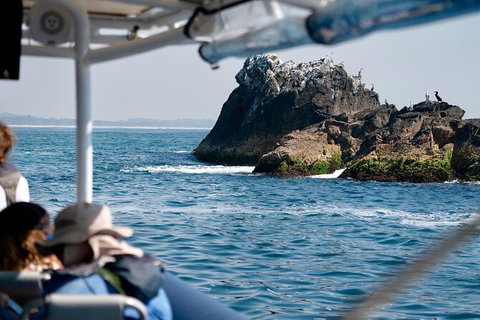 Julian Rocks Byron Bay Cruise - Airlie Beach Holiday 20