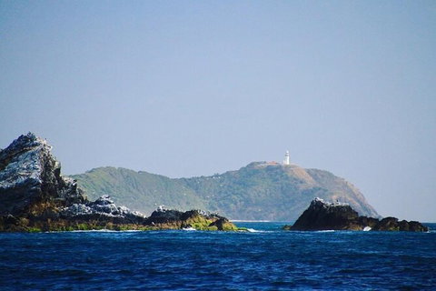 Julian Rocks Byron Bay Cruise - Airlie Beach Holiday 2