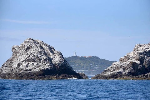 Julian Rocks Byron Bay Cruise - Airlie Beach Holiday 14