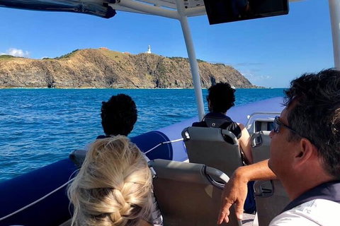 Julian Rocks Byron Bay Cruise - Airlie Beach Holiday 3