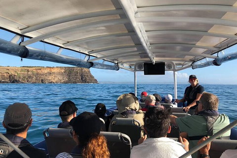 Julian Rocks Byron Bay Cruise - Airlie Beach Holiday 5