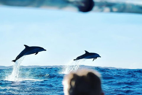 Julian Rocks Byron Bay Cruise - Airlie Beach Holiday 18