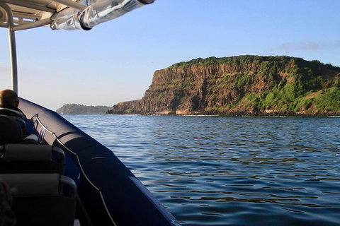 Julian Rocks Byron Bay Cruise - Airlie Beach Holiday 17