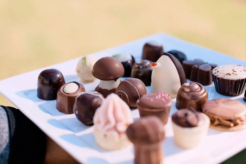 Hunter Valley Highlights Private Wine Tour From Sydney - Airlie Beach Holiday 7