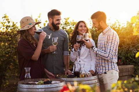 Hunter Valley Highlights Private Wine Tour From Sydney - Airlie Beach Holiday 0