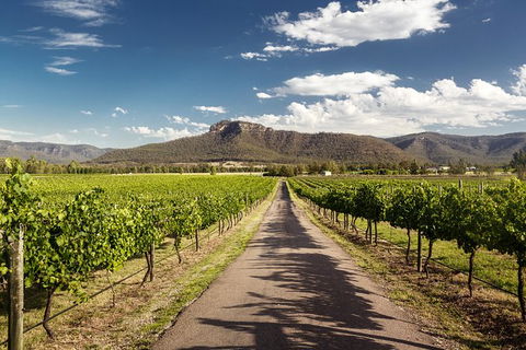Hunter Valley Highlights Private Wine Tour From Sydney - Airlie Beach Holiday 2