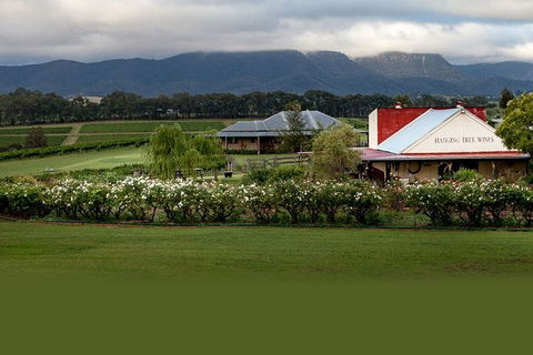 Hunter Valley Highlights Private Wine Tour From Sydney - Airlie Beach Holiday 5