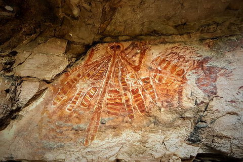 Arnhem Land Injalak Hill Full-Day Tour From Jabiru - Airlie Beach Holiday 2