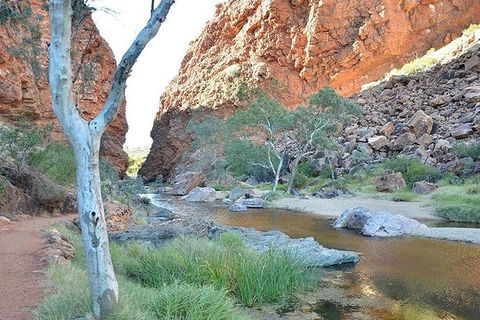 Alice Springs, Uluru Ayers Rock & Kings Canyon 8 Days Touring Package - Airlie Beach Holiday 2