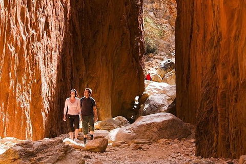 Alice Springs, Uluru Ayers Rock & Kings Canyon 8 Days Touring Package - Airlie Beach Holiday 5