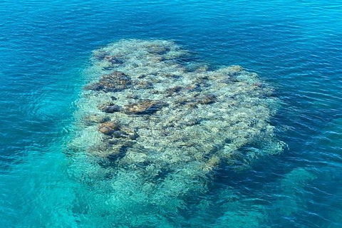 Lady Musgrave Day Trip From Bundaberg Including Snorkeling, Glass Bottom Tour And Guided Island Walk - Airlie Beach Holiday 2