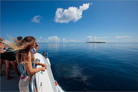 Lady Musgrave Day Trip From Bundaberg Including Snorkeling, Glass Bottom Tour And Guided Island Walk - Airlie Beach Holiday 4