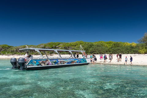 Lady Musgrave Day Trip From Bundaberg Including Snorkeling, Glass Bottom Tour And Guided Island Walk - Airlie Beach Holiday 5