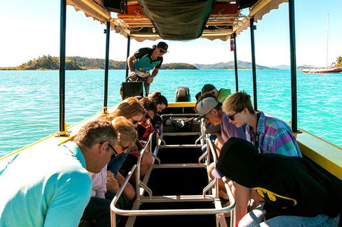 Airlie Beach Glass Bottom Boat Tour - Airlie Beach Holiday 5