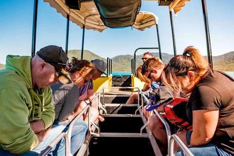 Airlie Beach Glass Bottom Boat Tour - Airlie Beach Holiday 12