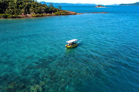 Airlie Beach Glass Bottom Boat Tour - Airlie Beach Holiday 8