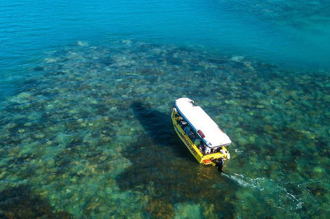 Airlie Beach Glass Bottom Boat Tour - Airlie Beach Holiday 9