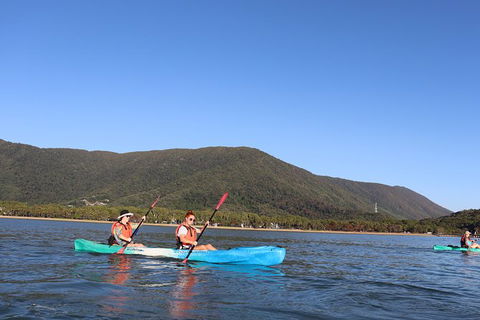 Kayak Turtle Tour From Palm Cove - Airlie Beach Holiday 24