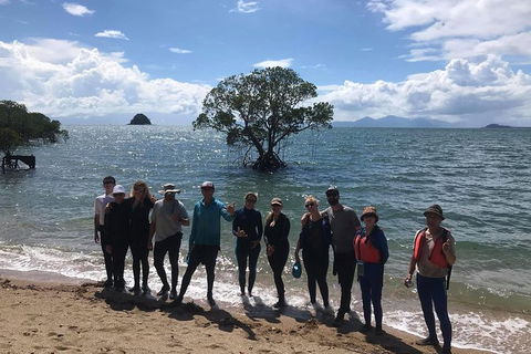 Kayak Turtle Tour From Palm Cove - Airlie Beach Holiday 17