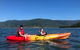 Kayak Turtle Tour From Palm Cove - thumb 45
