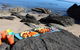 Kayak Turtle Tour From Palm Cove - thumb 36