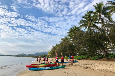 Kayak Turtle Tour From Palm Cove - Airlie Beach Holiday 11