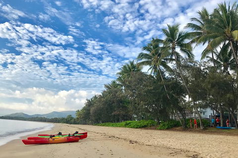 Kayak Turtle Tour From Palm Cove - Airlie Beach Holiday 2