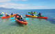 Kayak Turtle Tour From Palm Cove - thumb 25