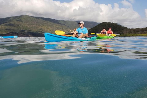 Kayak Turtle Tour From Palm Cove - Airlie Beach Holiday 0