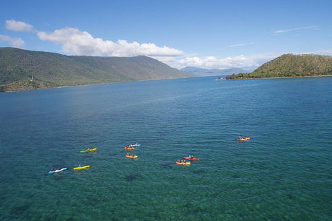 Kayak Turtle Tour From Palm Cove - Airlie Beach Holiday 44