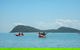 Kayak Turtle Tour From Palm Cove - thumb 33