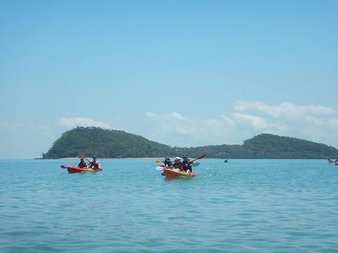 Kayak Turtle Tour From Palm Cove - Airlie Beach Holiday 33