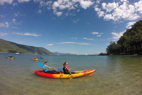 Kayak Turtle Tour From Palm Cove - Airlie Beach Holiday 21