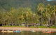 Kayak Turtle Tour From Palm Cove - thumb 16