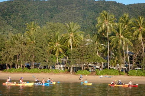 Kayak Turtle Tour From Palm Cove - Airlie Beach Holiday 16
