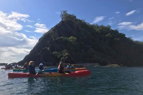 Kayak Turtle Tour From Palm Cove - Airlie Beach Holiday 3