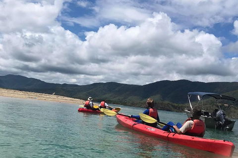 Kayak Turtle Tour From Palm Cove - Airlie Beach Holiday 29