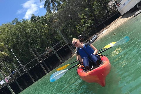 Kayak Turtle Tour From Palm Cove - Airlie Beach Holiday 31