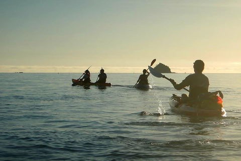 Kayak Turtle Tour From Palm Cove - Airlie Beach Holiday 8