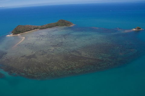 Kayak Turtle Tour From Palm Cove - Airlie Beach Holiday 20