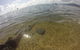 Kayak Turtle Tour From Palm Cove - thumb 19
