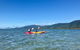 Kayak Turtle Tour From Palm Cove - thumb 48